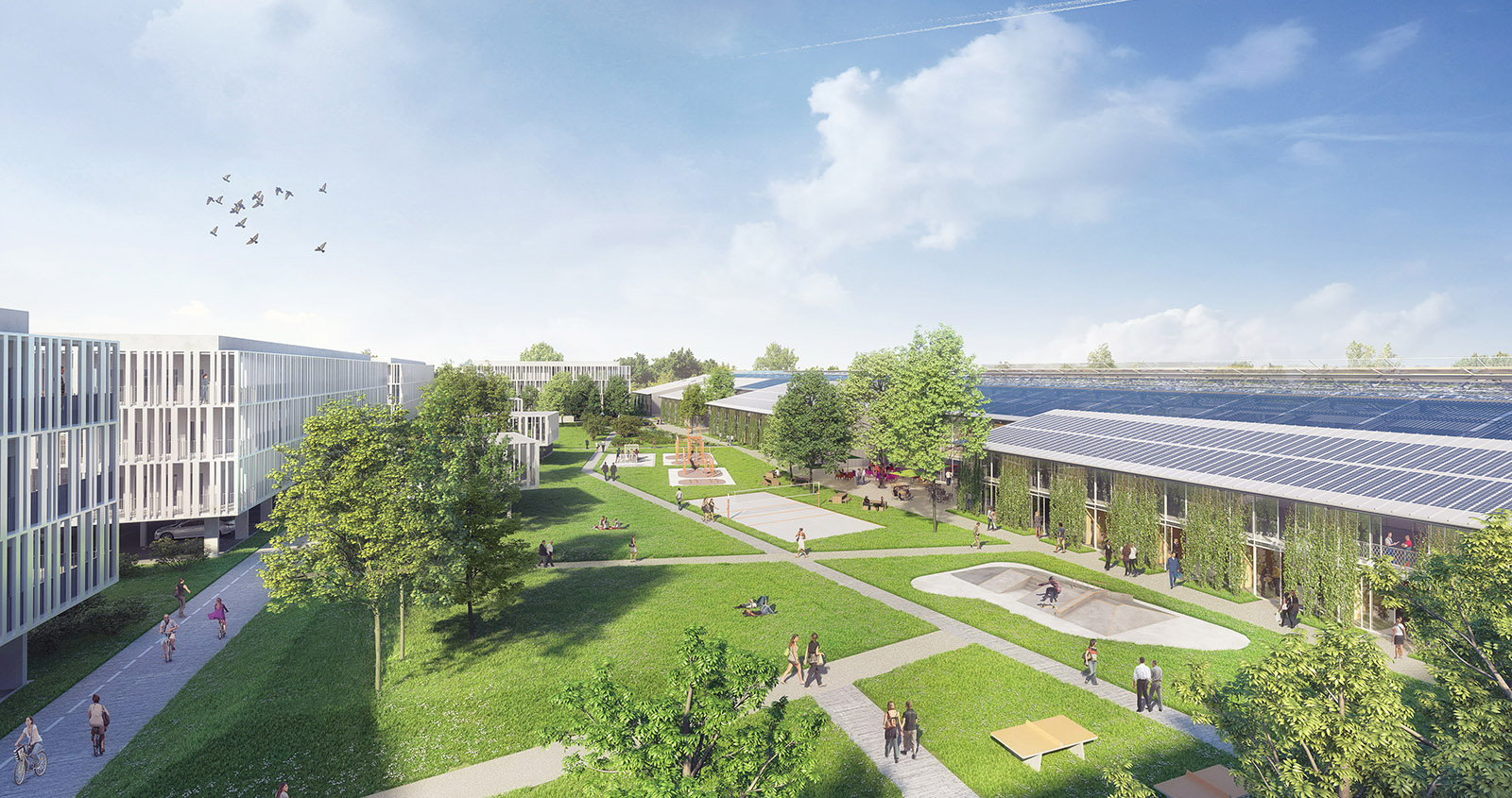 Perspective semi-aérienne - PEX Toulouse - Frédérique Hoerner et Eric Ordonneau Architectures
